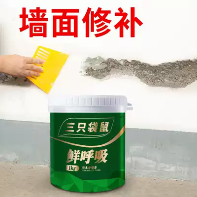 Repair wall paste wall repair latex paint cracks earth paste inner wall white wall household artifact