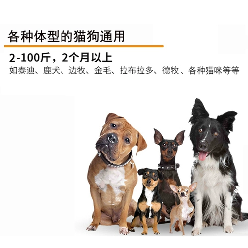 СОБАВИТЕЛЬНОЕ МЕСТЕКО АВТОМАТИЧЕСКИЕ АНТИ -КАЛЛИГАТОР, чтобы предотвратить, как собака вызовет электрические шокирующие круги, обучение собаки маленькая собака плюшевые анти -людей, беспокоящие люди