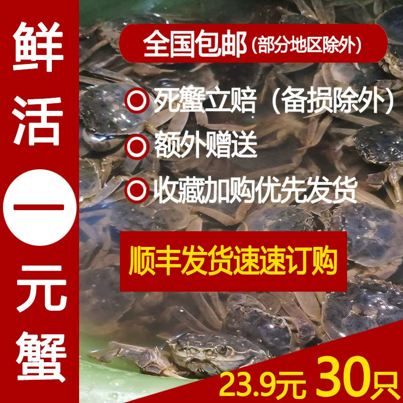 [盘锦河蟹鲜活1一元蟹香辣蟹二元现货醉蟹六月黄2小螃蟹稻田大闸蟹]