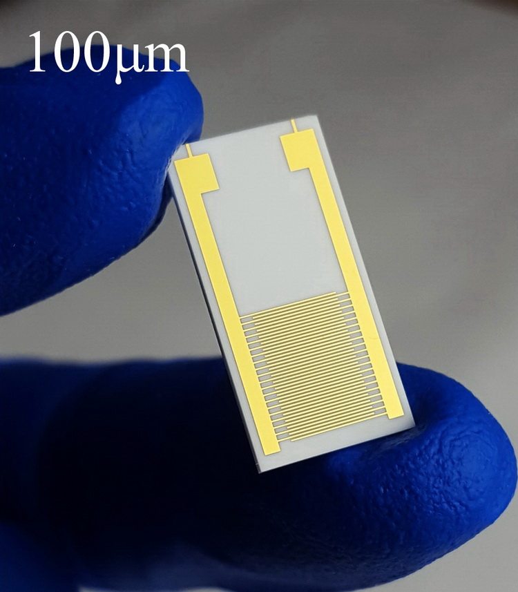 100&mu;m大尺寸陶瓷叉指电极电容阵列生物气体湿度传感器芯片10X20