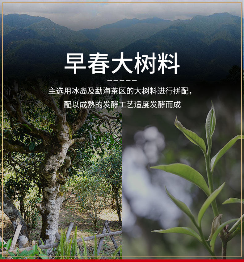 久旺元 十年醇 普洱熟茶饼 357克 图2