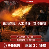 ПК подлинный пароход Wizard 3 Crazy Hunting The Witcher & Reg; 3: Подарки национального района дикой охоты