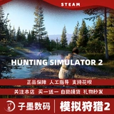 ПК искренняя игра для моделирования игры для игры на охоту 2 Hunting Simulator 2 симуляция приключений