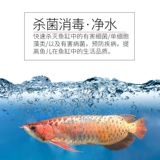 Очистка воды в рыбе капля рыбного аквариума воды для воды для очистки растений