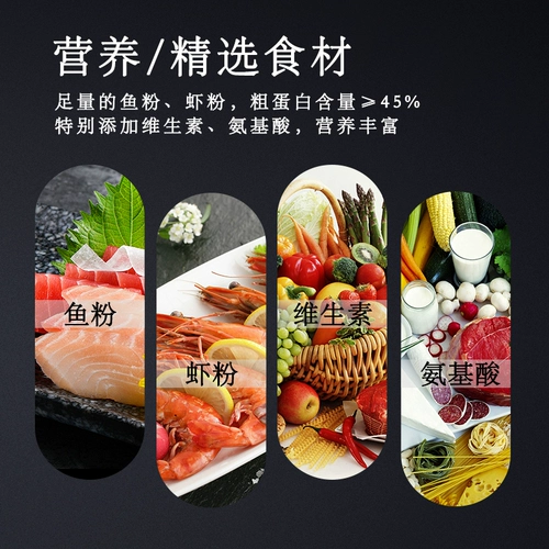 Hua Luohan посвященной рыбной едой, выстрел в голову голово