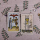 ນຳເຂົ້າຂອງແທ້ Waite Centenary Waite Tarot mini box iron version SmithWaiteTarot Waite card