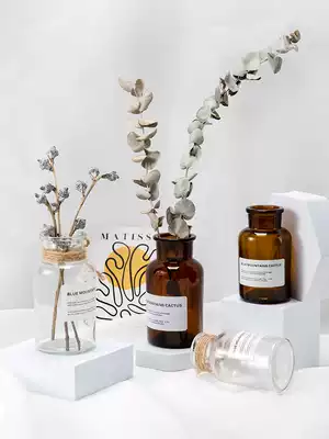Dried flower vase chic style home decoration retro literary brown glass vase Nordic style photo posing props