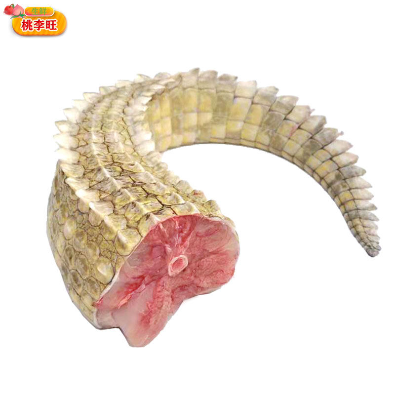 鹅苗供应市场风向标