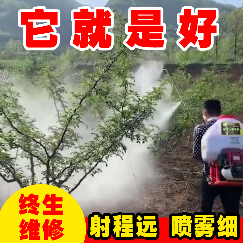Petrol High-pressure Beating Pesticide Spray Machine Four Stroke pump Shoulder Type Landscaped Fruit Tree Spray Powder Agricultural Backtype Nebulizer