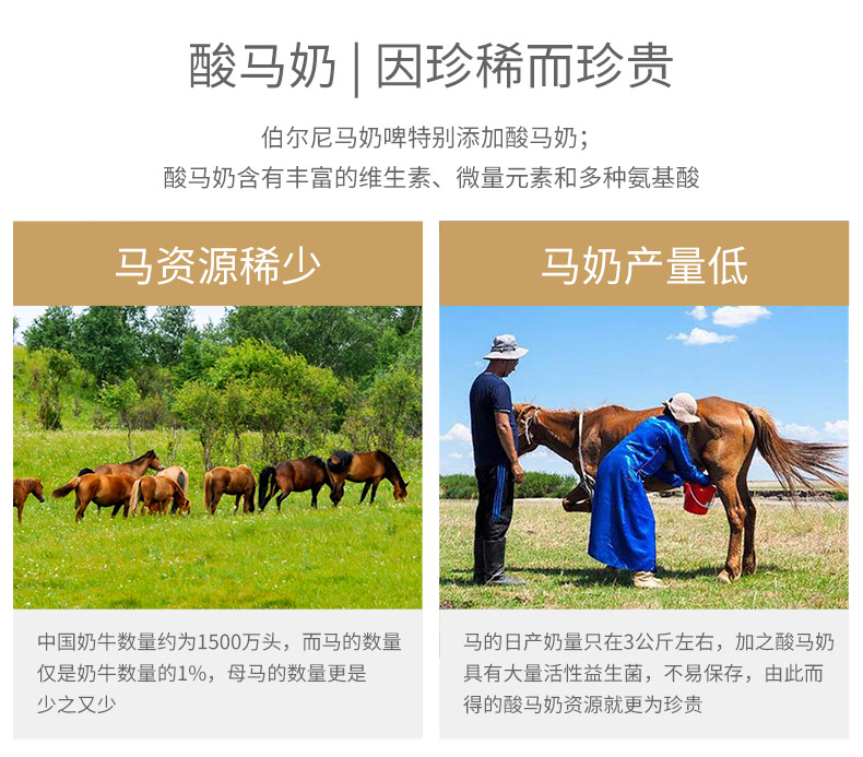 伯尔尼 马奶啤 解油腻清肠胃 300ml*12罐 图2