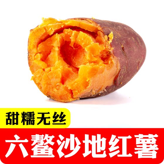 Fujian sweet potato fresh sweet potato farm sweet potato 5 Jin [Jin is equal to 0.5 kg] Liu'ao sandy sweet potato non-Shandong chestnut tobacco potato 25