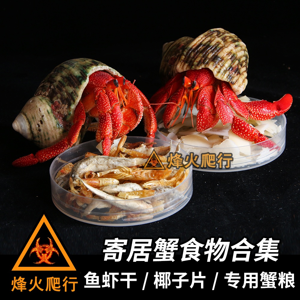 Hermit Crab Food Collection No Coconut Dried Crispy Calcium Dried Fish Dried Shrimp Special Crab Food Feed