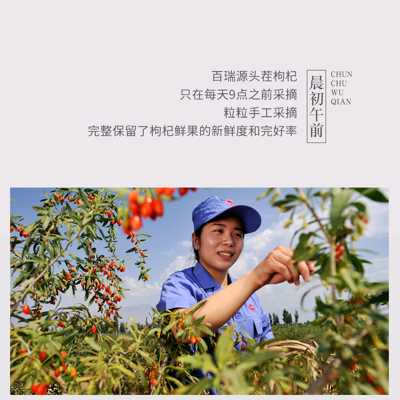 百瑞源 宁夏特级头茬免洗枸杞 210g*2大袋 内里小袋包装 图4