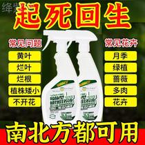 (One spray to save life) Nutrient solution for plants general indoor potting water flower cultivation household fertilizer special liquid