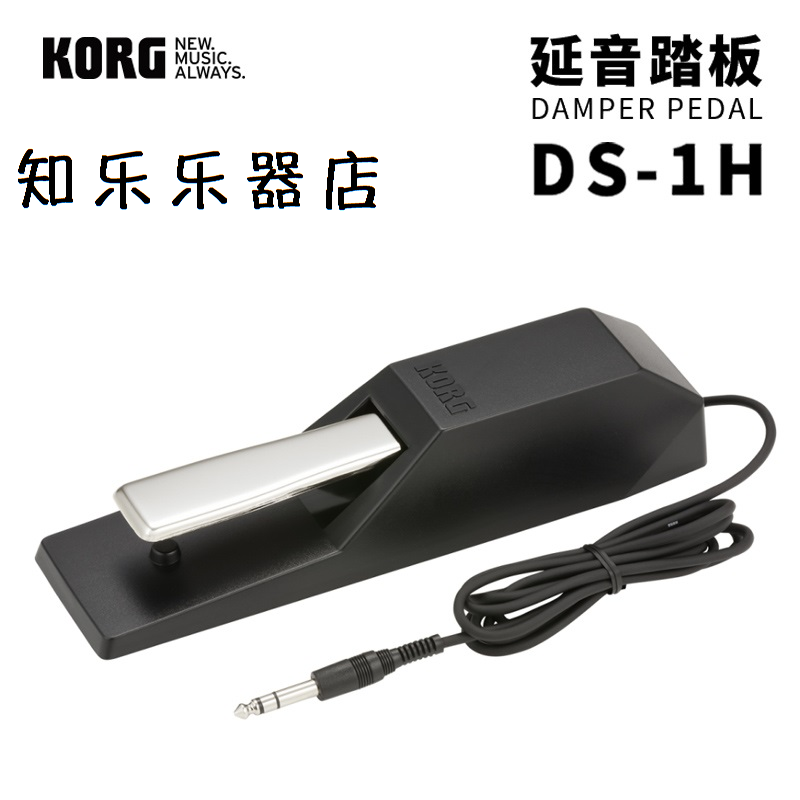 KORG Keyin PS1 PS3 DS1H EXP2 electronic organ electronic organ synthesizer sustain tone expression volume pedal