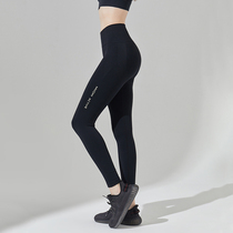 Cat man no size tights womens high waist high elastic pants night running big size yoga pants hip fitness pants autumn