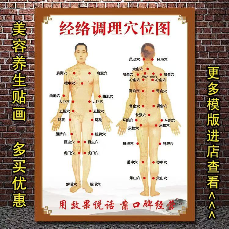 中医经络调理穴位图海报竖图正面反面穴位挂画经络养生理疗馆穴位