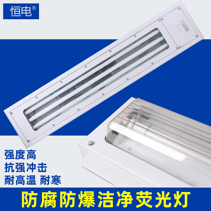 EX Explosion Protection Purifying Light Factory Pharma Workshop Clean 1 2 m T8 Ming-mounted embedded bracket daylight lamp