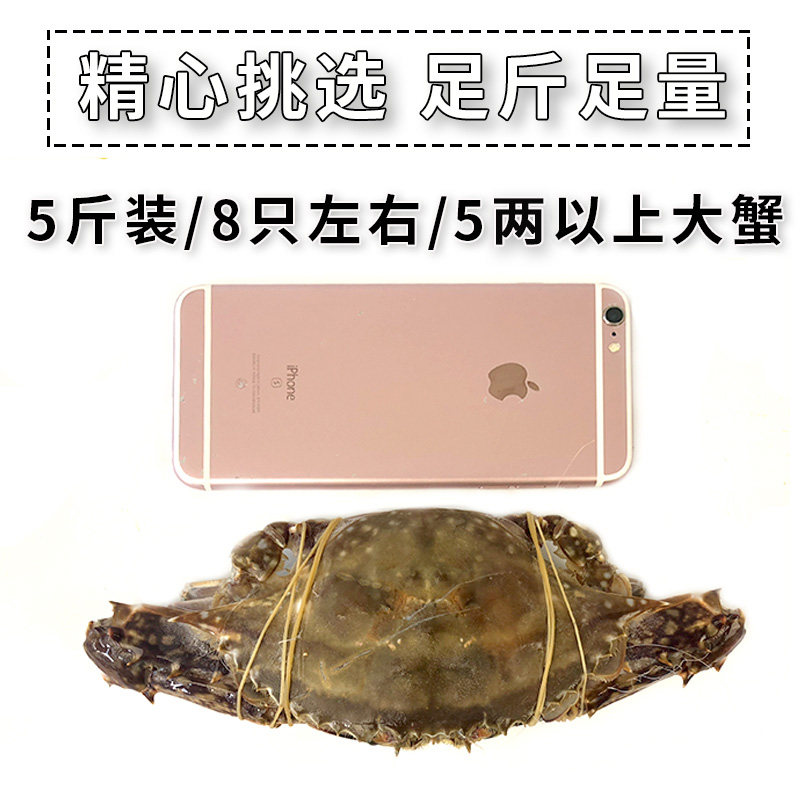 舟山特产梭子蟹 5斤 液氮活冻 单只5两左右 约8只 图4