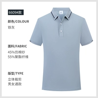 6609 Железный пепел