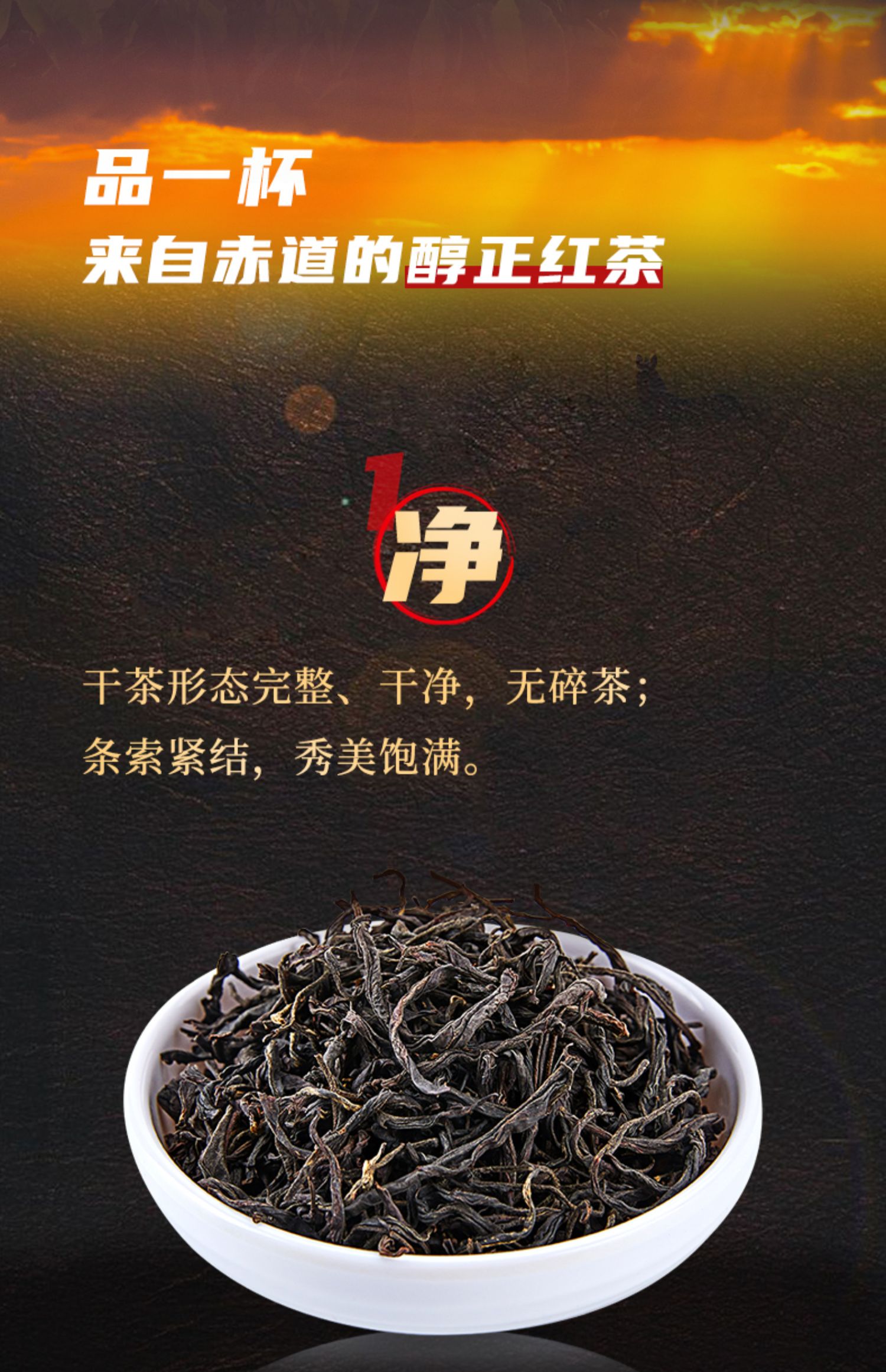 【火烈鸟】正山小种红茶茶叶礼盒装