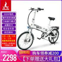 Phoenix electric bicycle folding car New national standard adult small portable men and women scooter Lithium battery battery car