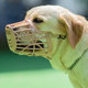 Dog muzzle, anti-barking mask, large and small dogs, Demuco fund, Husky, Teddy, Bichon supplies, anti-eating and biting products