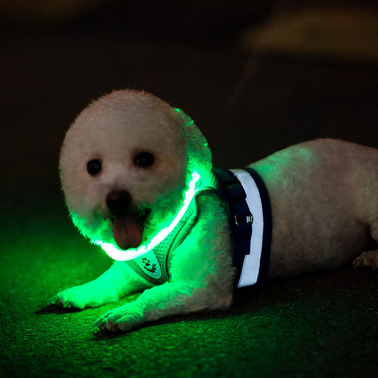 Dog luminous collar multi-color optional LED rechargeable anti-lost dog tag size ring universal Teddy Golden Retriever