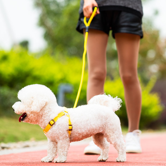 Dog leash, large, medium and small dog walking vest, dog chain, anti-breakaway pet collar, Teddy rope supplies