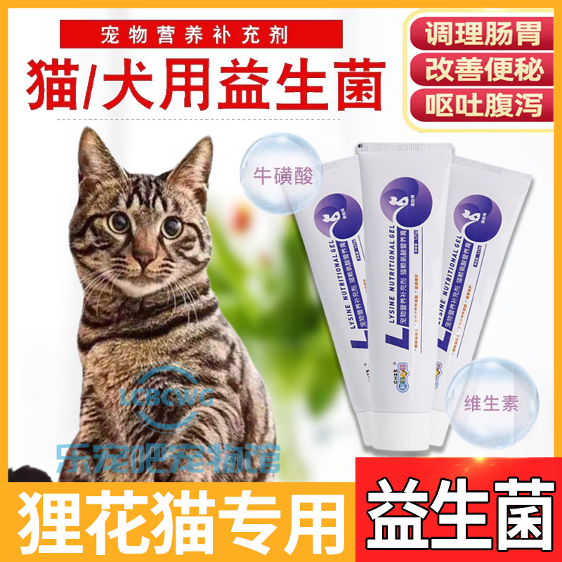 Idyllic raccoon cats special nutrition cream nutritional supplements amino acid fattening health probiotics that cats love to eat