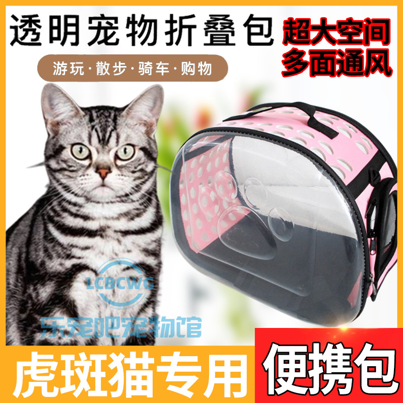 Tiger spotted cat special beauty short kitty used out portable cat bunk kitty supplies cat scapegoat transparent outer band