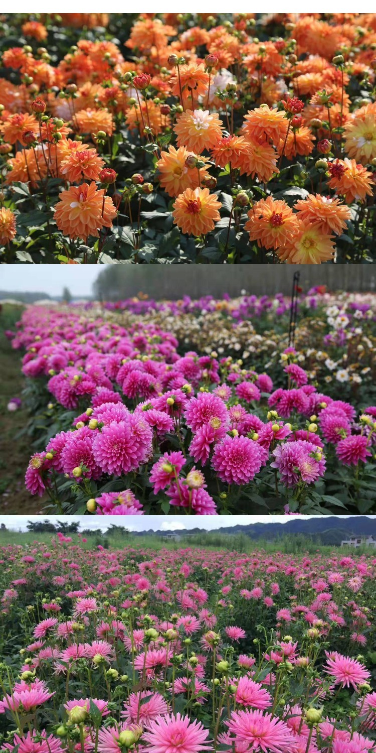 gm6Uj/OnzNRHr0wTH1HhyaWHf4T77lzaxScb