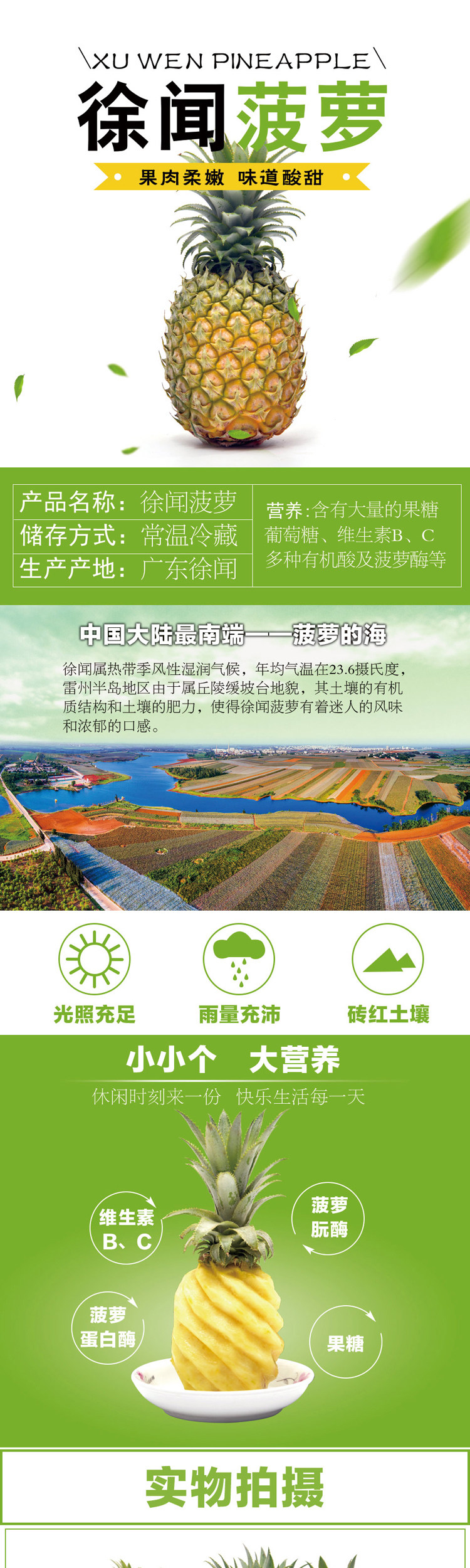 徐闻菠萝 10斤 图1