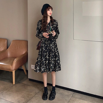 Small floral chiffon dress female spring and autumn 2021 new French retro long-sleeved thin bottomed long skirt