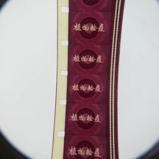16 mm Movie Negatives Movie Copy Nostalgia Old Old-fashioned Movie Projector Color Science-sheet Plant Quarantine
