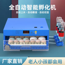 Luding Chicken Incubators Incubators Hatchery Incubator Incl. Small Home Type Fully Automatic Smart Little Chicken Duck Goose Pigeon Quail
