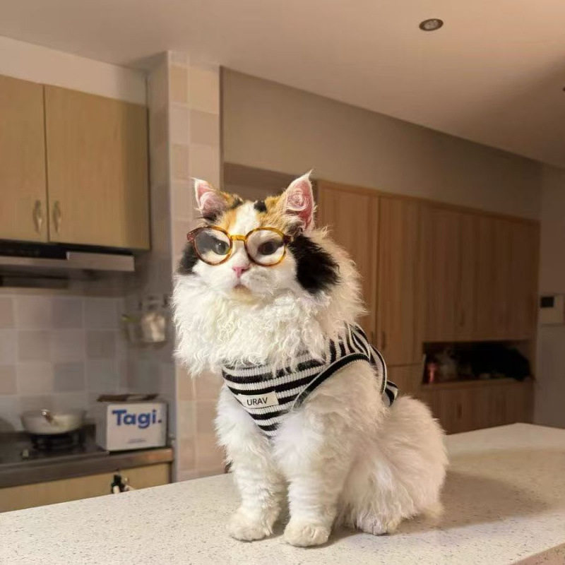 img2