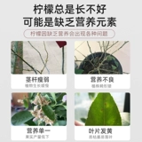 Лимон -сделка медленные удобрения. Обязательные комбо -удобрения.