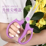 Садоводство, разрезание ножницы, цветочное искусство, ветви, священники, трибхлы, фруктовые деревья, густого садового искусства, инструмент для ножниц дома