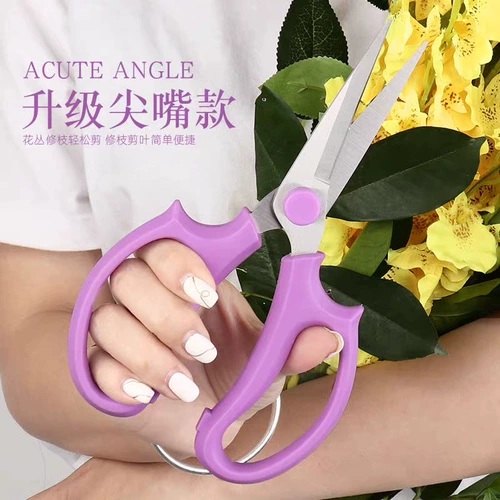 Садоводство, разрезание ножницы, цветочное искусство, ветви, священники, трибхлы, фруктовые деревья, густого садового искусства, инструмент для ножниц дома