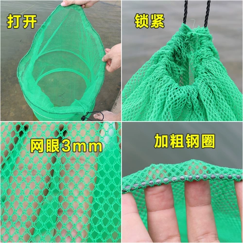 Рыба защищает быструю рыбную коробку против толстой рыбацкой рыбной сети рыбацкой сети.