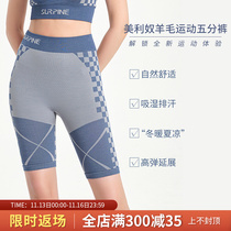 SURPINE Merino Wool Fitness Wear Running Yoga Riding High Waist Quick Dry Sports Pants Five Pants