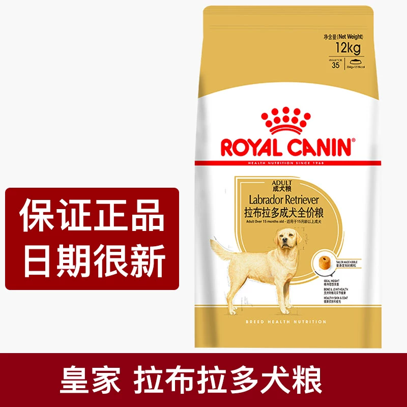 Pháp Royal Golden Retriever Labrador Thức ăn cho chó dành cho chó trưởng thành Chó con vừa lớn cho chó trưởng thành cho chó con Thức ăn cho chó Thức ăn chủ yếu Miễn phí vận chuyển - Chó Staples