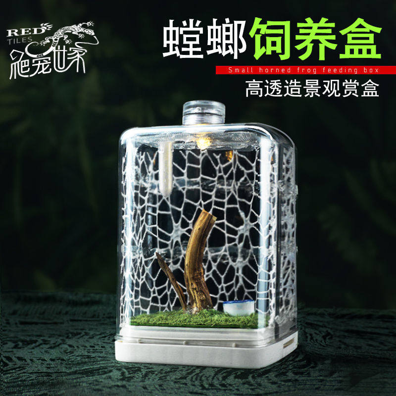 养虫达人必看：2026年谷细胞手提式昆虫饲养盒如何选择？