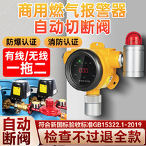 Gas alarm commercial probe automatic cut-off valve catering hotel industrial gas leak detector explosion-proof