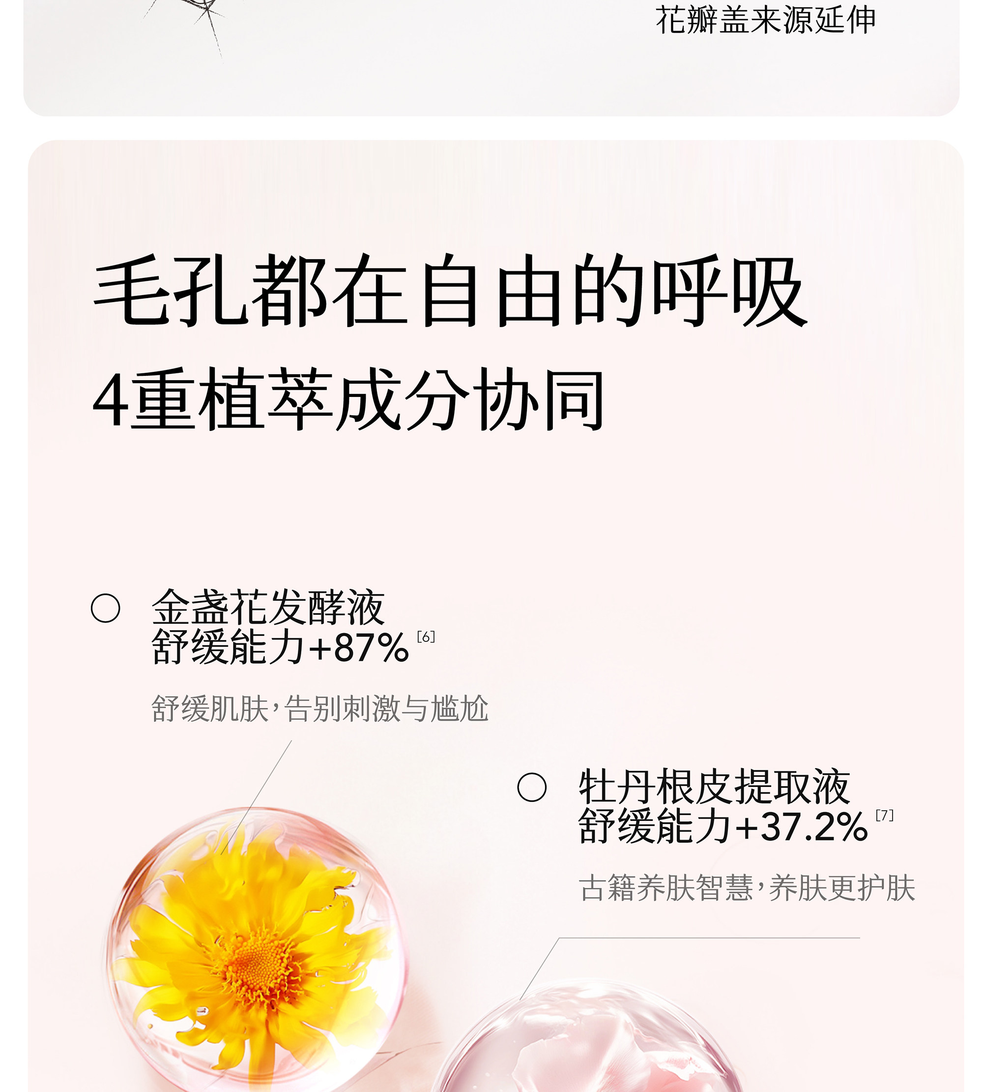 半亩花田 爽身香体露 滚珠香水 失重玫瑰20g 抵抗夏日汗腺【香香女孩子的秘密武器】