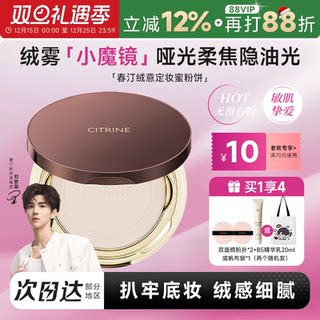 程十安春汀粉饼持久控油定妆哑光细腻保湿遮瑕补妆小魔镜蜜粉饼
