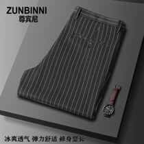 (Zumbinney) spring summer mens new pinstripe elastic comfort casual pants Inlen fashion swarm with long pants