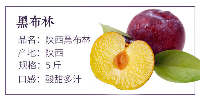 陕果益农 陕西黑布林李子 5斤 图2