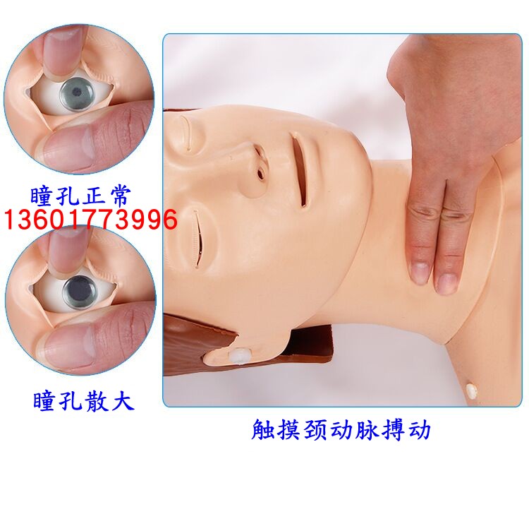 高级心肺复苏训练模型人 弱水急救心肺复苏模拟人